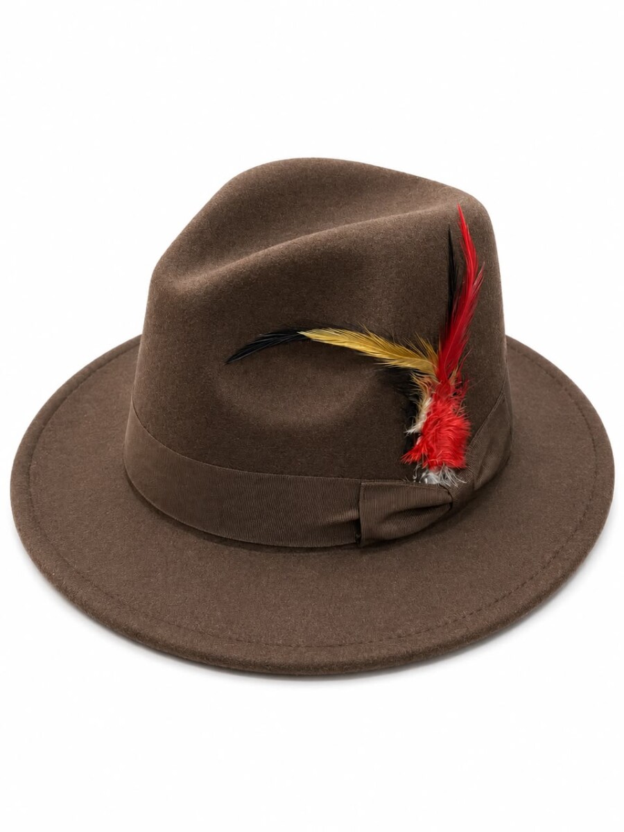 Classic Brown Fedora Hat styled with traditional feather accents 1 Classic Brown Fedora Hat styled with traditional feather accents