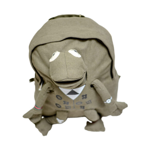 Frog Back Pack for Students