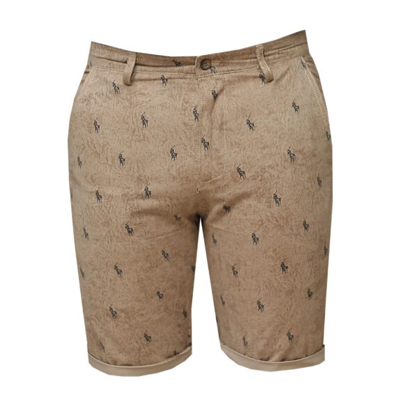 Men's Shorts - Casual Wear Shorts for Men