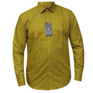 Long Sleeved Formal Shirt for Men